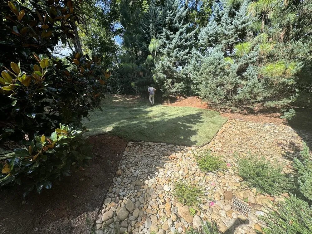 Expert yard maintenance in Spartanburg, SC by Peter's Creek Landscapes
