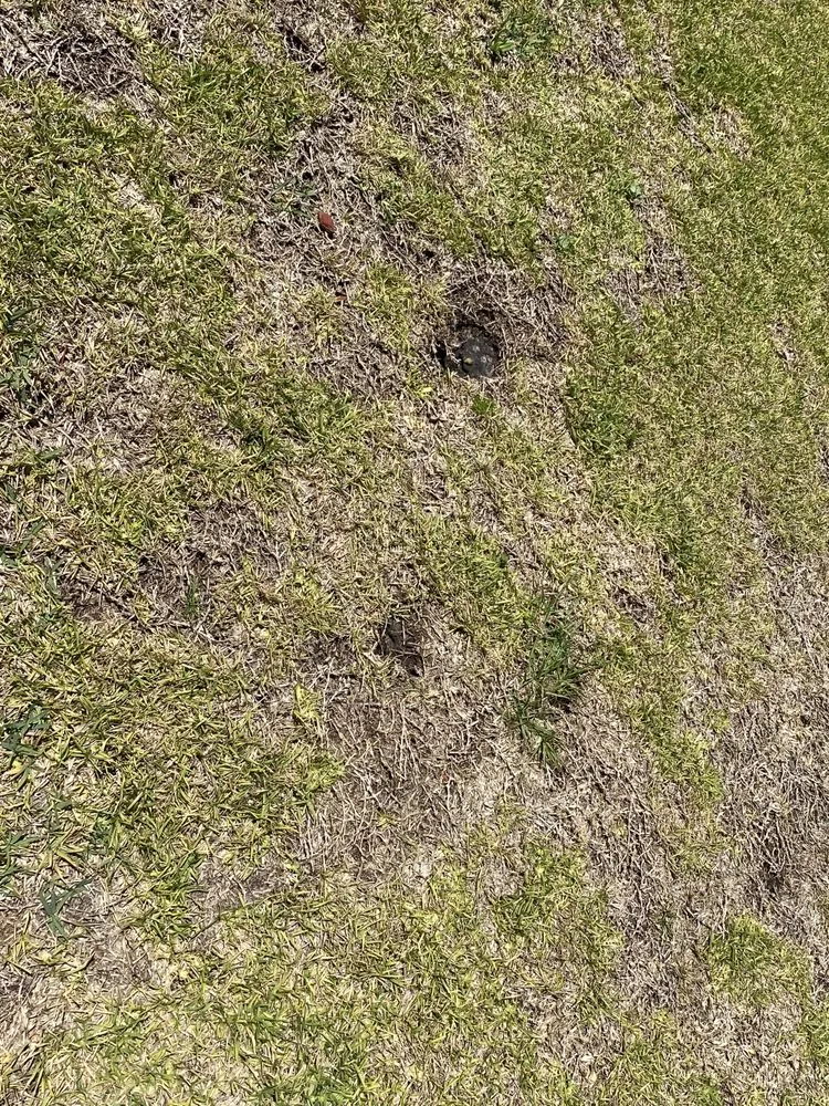 Affordable landscape design in Kingsland, GA by Peters Landscaping & Lawn Care