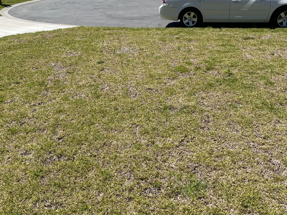 Custom yard cleanup service in Kingsland, GA - Peters Landscaping & Lawn Care