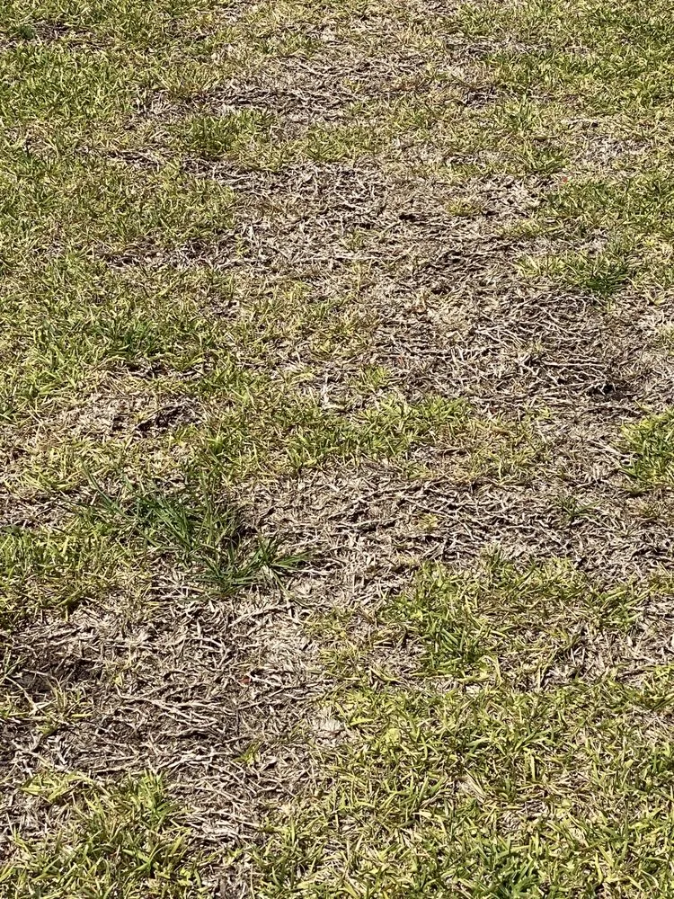 Top-rated outdoor landscaping experts serving Kingsland, GA - Peters Landscaping & Lawn Care