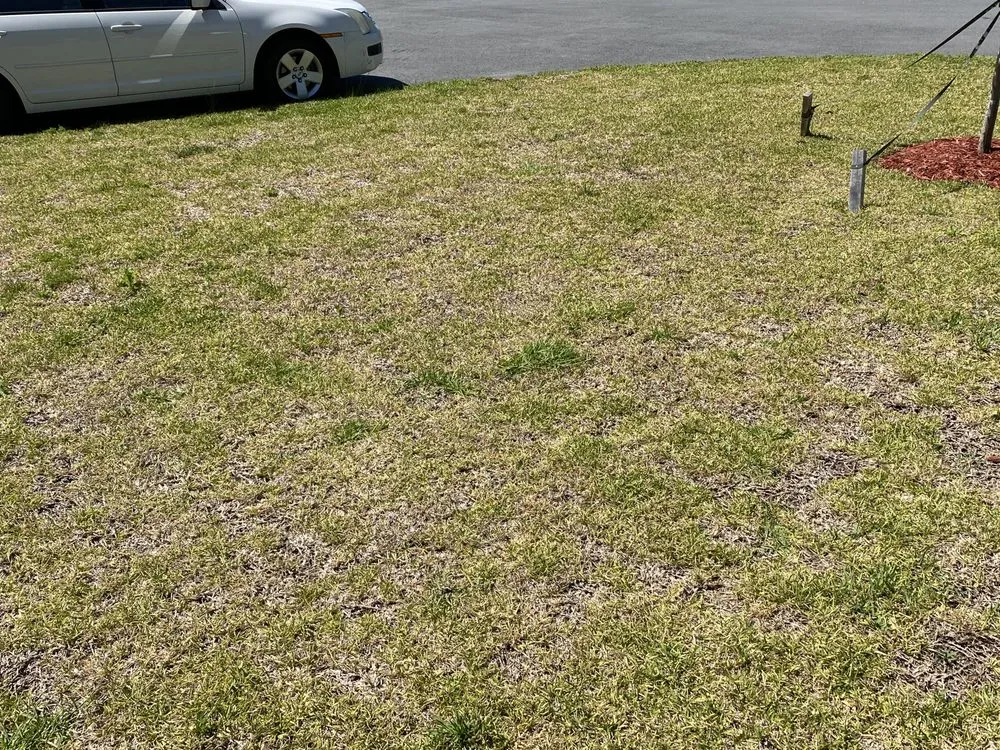 Professional lawn mowing service in Kingsland, GA by Peters Landscaping & Lawn Care