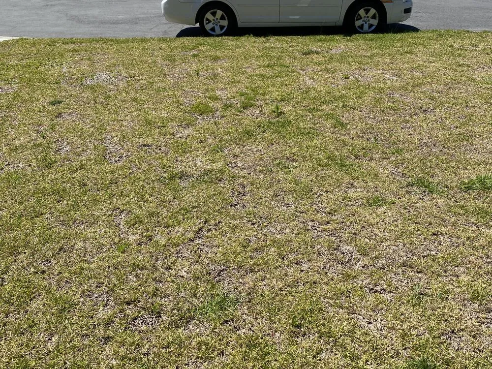 Reliable lawn mowing service in Kingsland, GA by Peters Landscaping & Lawn Care