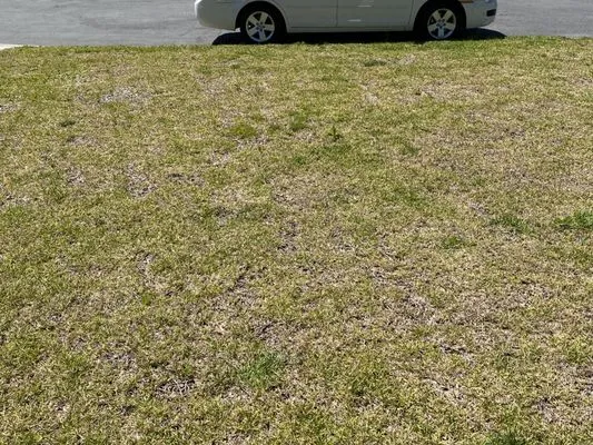 Peters Landscaping & Lawn Care