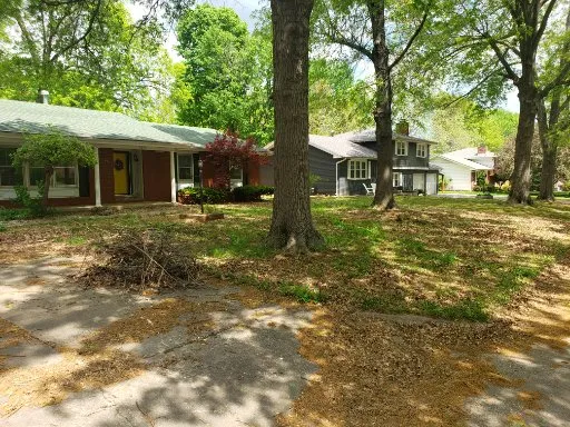 Reliable yard cleanup service experts serving Springfield, MO - Peters Painters and Lawn Care