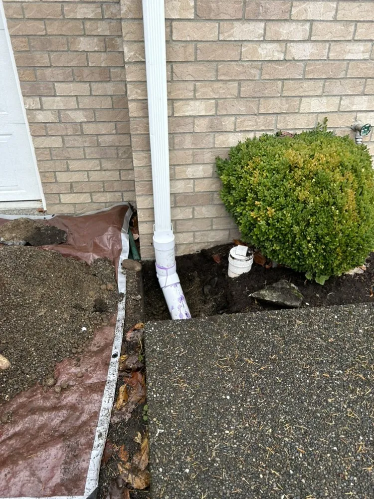 Professional lawn mowing service for homes in Olympia, WA by Peters Project Pros