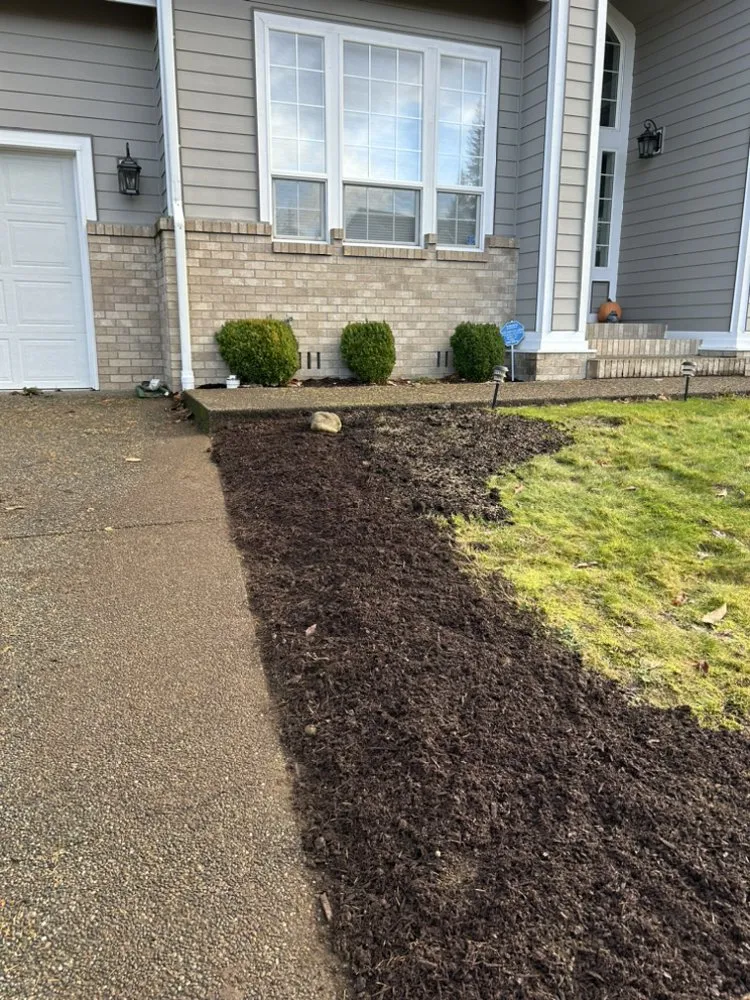 Expert residential landscaping experts serving Olympia, WA - Peters Project Pros