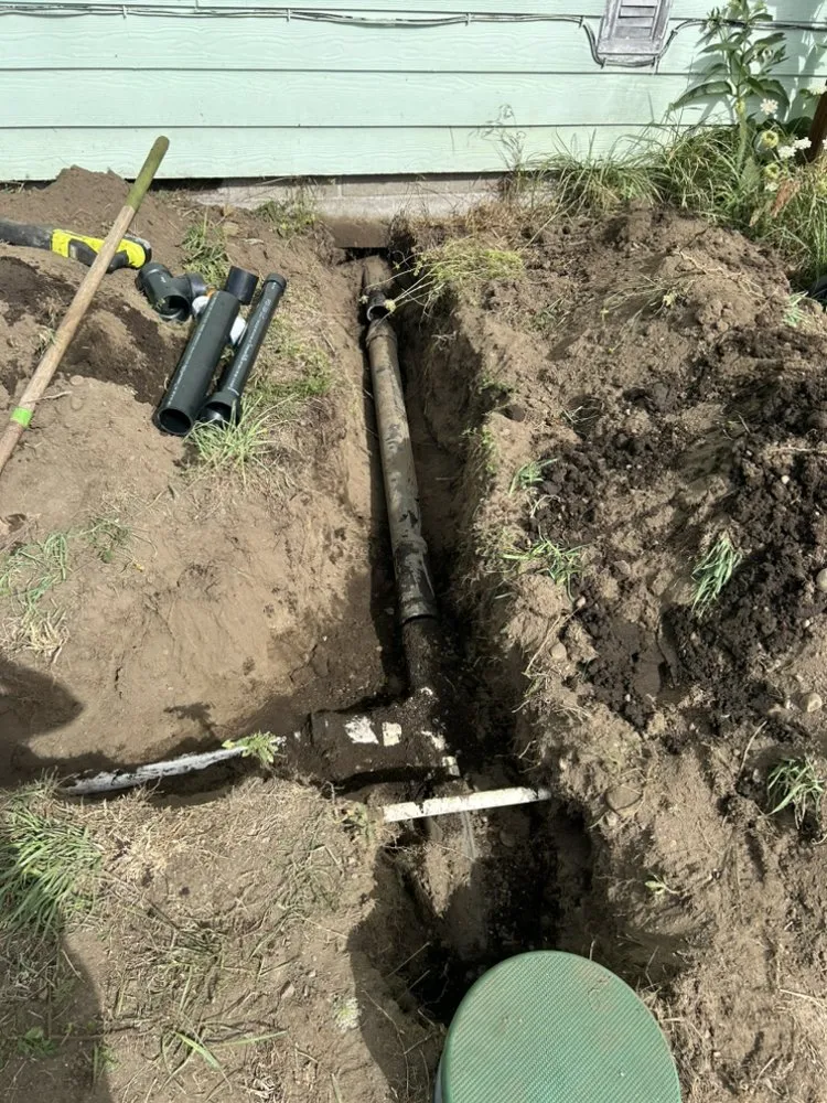 Expert lawn care service in Olympia, WA - Peters Project Pros