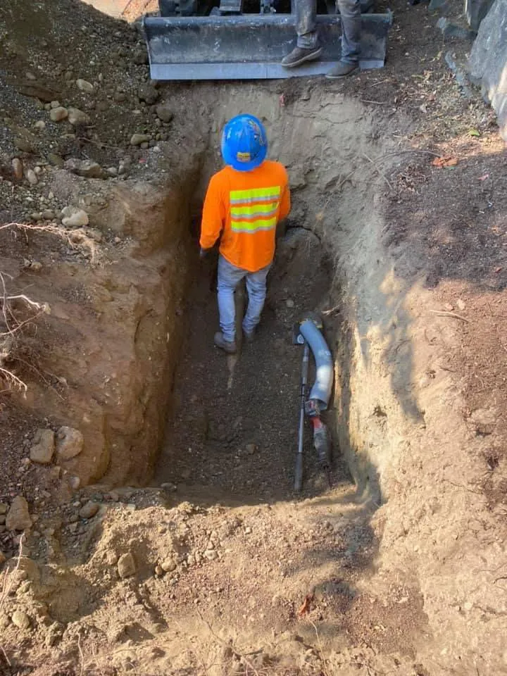 Expert yard maintenance for year-round maintenance in Olympia, WA by Peters Project Pros