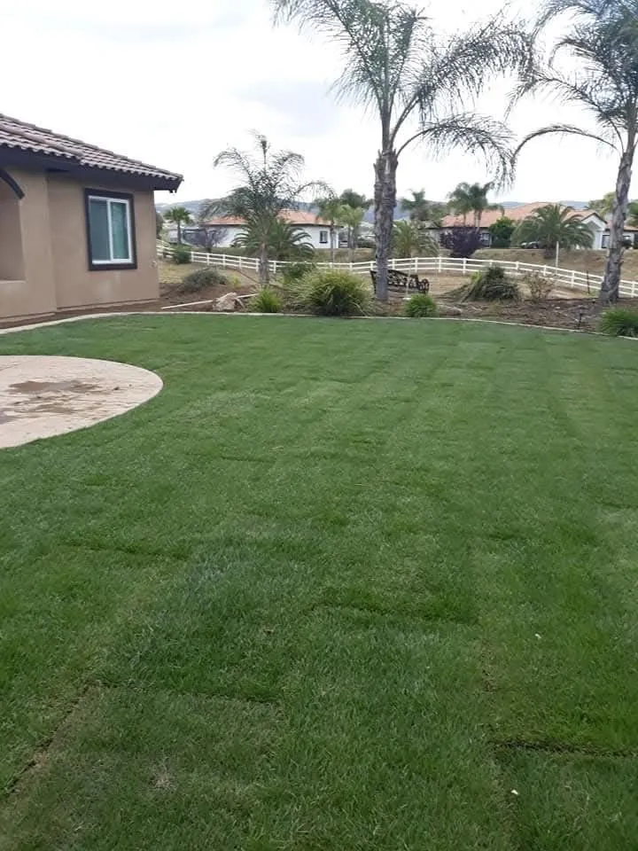 Professional landscaping services near you across Temecula, CA - Peter's Tree & Hardscape Services