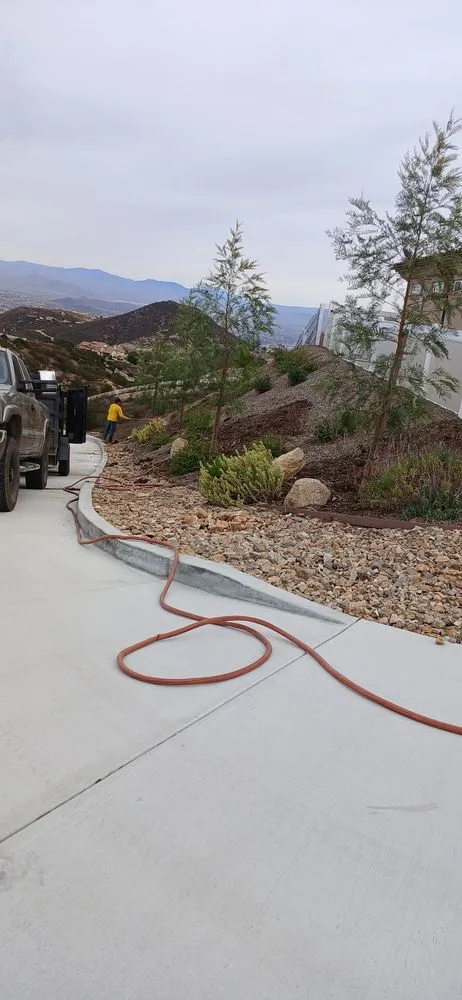 Trusted yard cleanup service in Temecula, CA - Peter's Tree & Hardscape Services