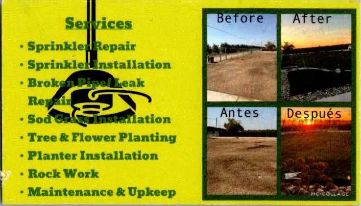 Top-rated yard cleanup service for homes across Livingston, CA - Peters Yard Service