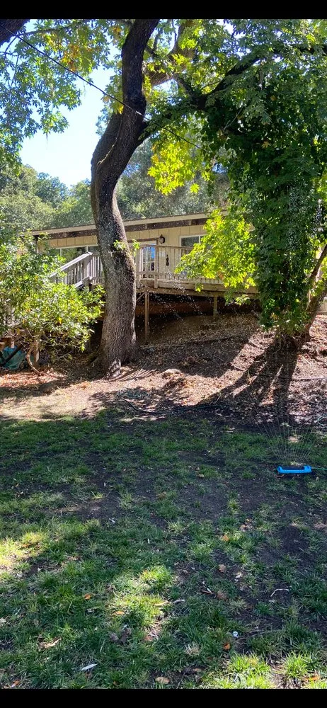 Top-rated lawn care service in Sonoma, CA - Petersen Gardening