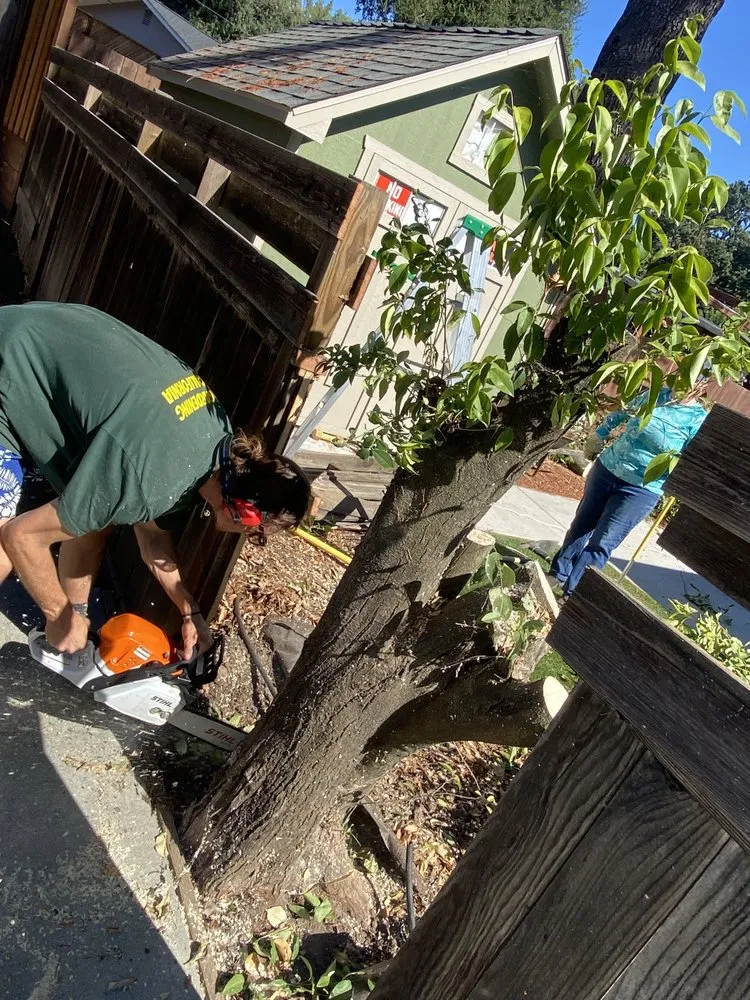 Expert landscape design for outdoor upgrades in Sonoma, CA by Petersen Gardening