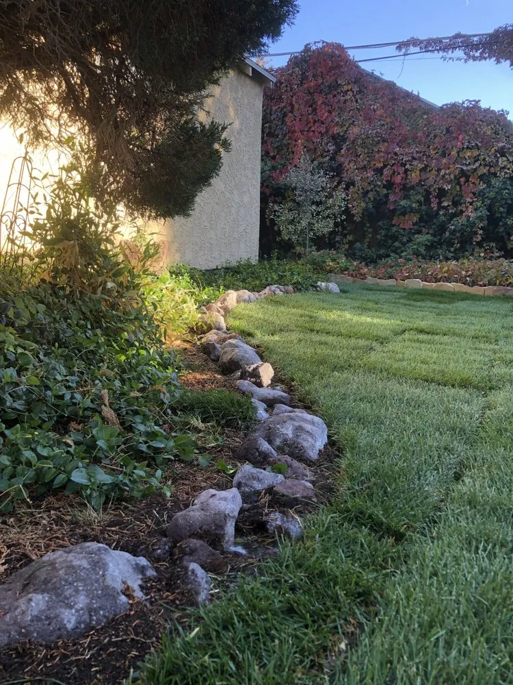 Affordable yard cleanup service experts serving Salt Lake City, UT - Petersen Projects