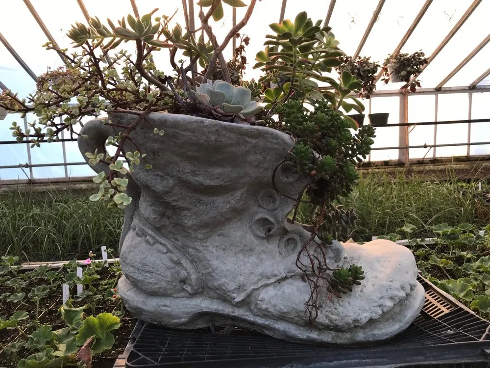 Expert outdoor landscaping for year-round maintenance across Patterson, NY - Petersen's Patterson Greenhouses