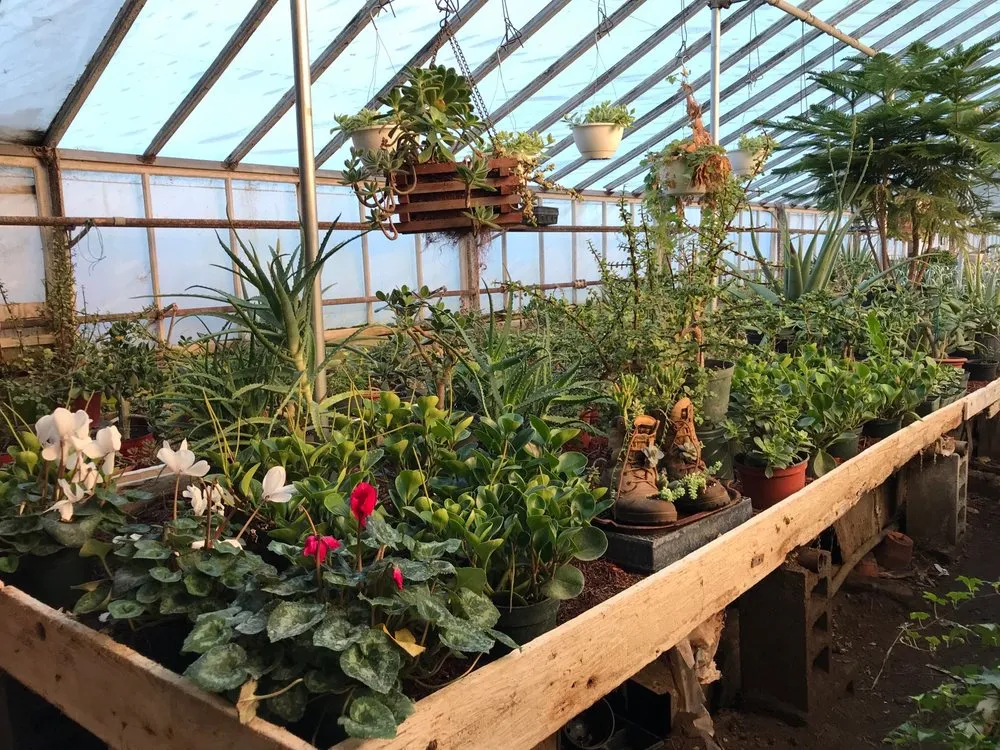 Affordable garden landscaping in Patterson, NY - Petersen's Patterson Greenhouses