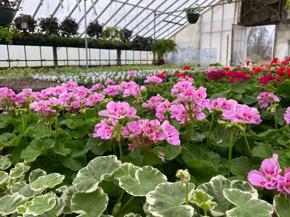 Expert residential landscaping in Patterson, NY by Petersen's Patterson Greenhouses