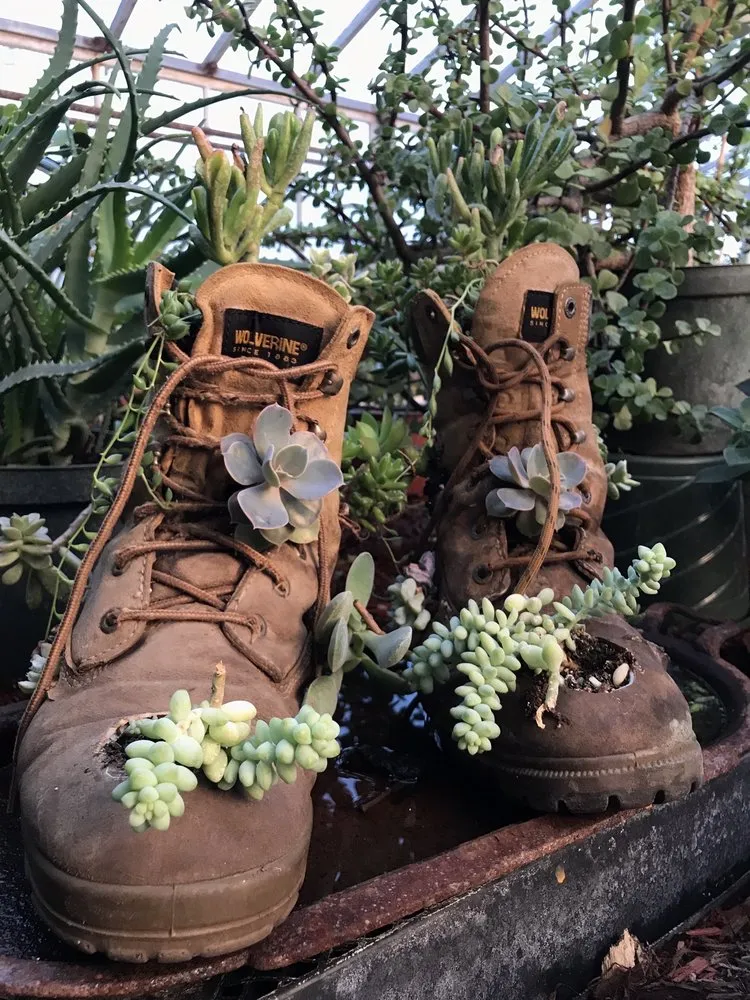 Custom yard cleanup service with custom design in Patterson, NY by Petersen's Patterson Greenhouses