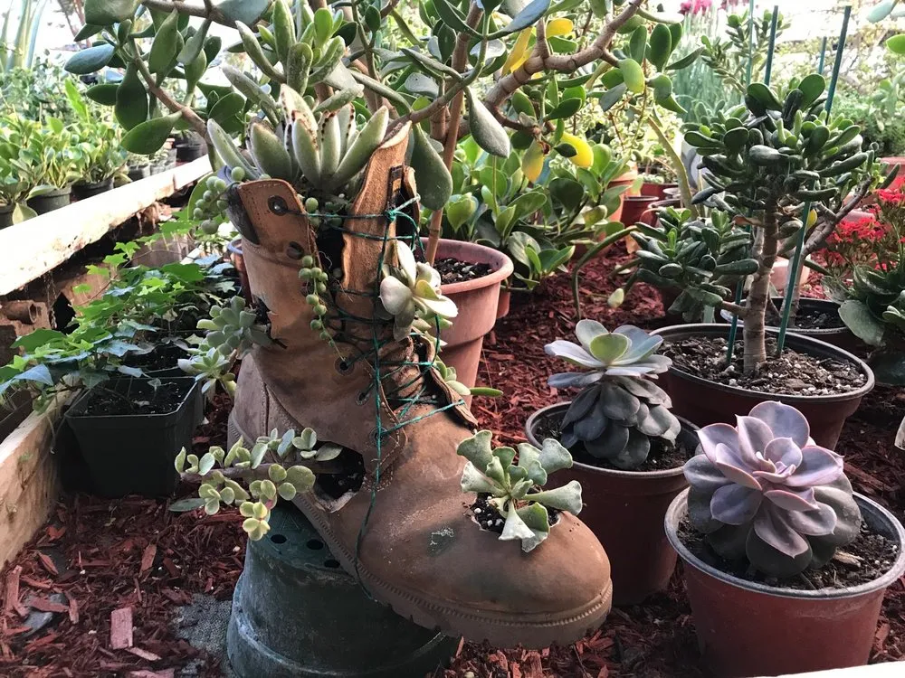 Top-rated residential landscaping in Patterson, NY by Petersen's Patterson Greenhouses