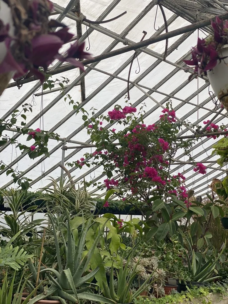 Custom residential landscaping for homes across Patterson, NY - Petersen's Patterson Greenhouses