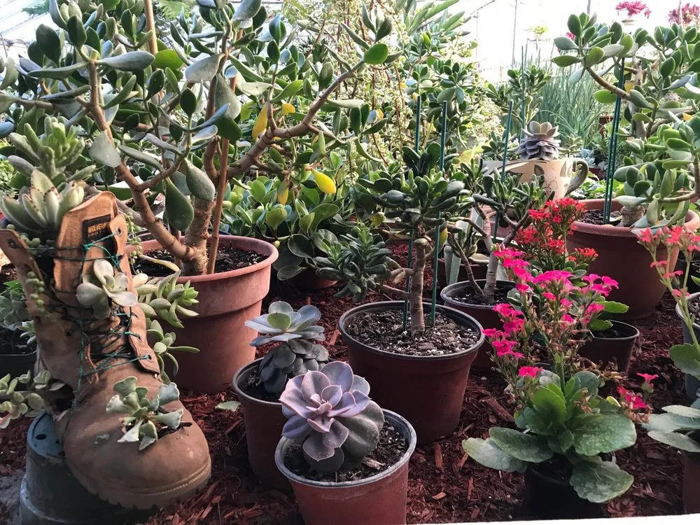 Top-rated outdoor landscaping for homes across Patterson, NY - Petersen's Patterson Greenhouses