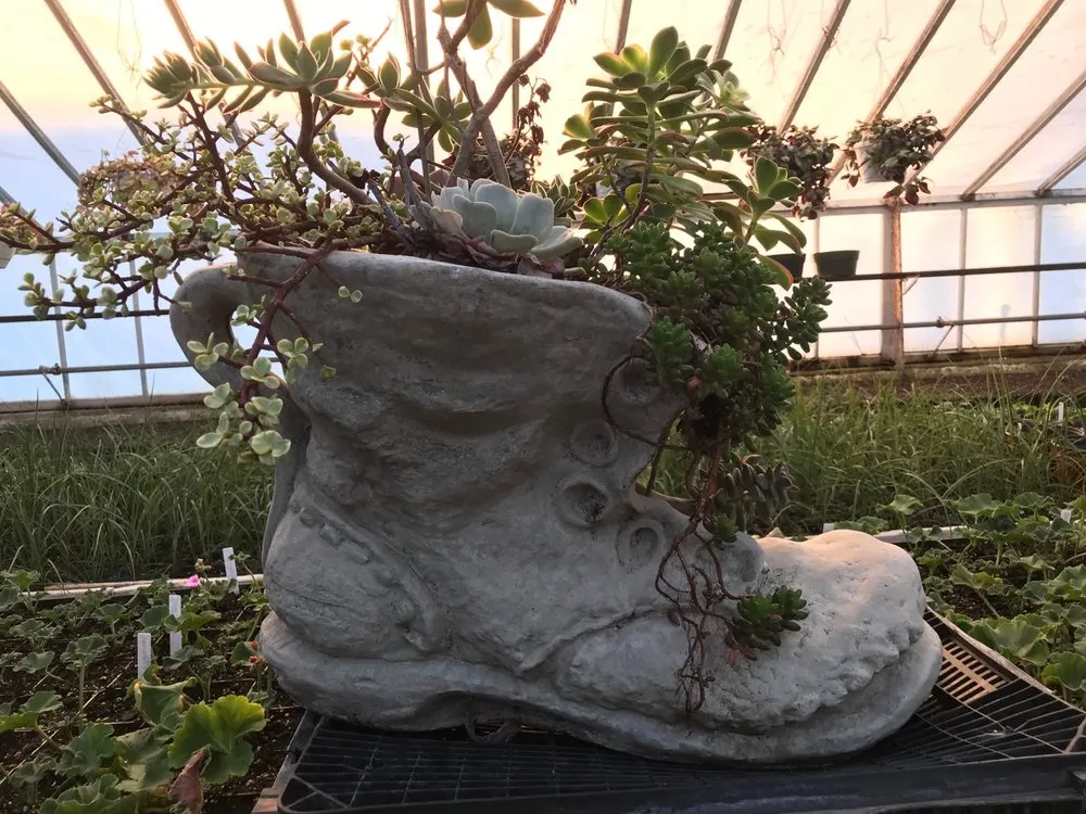 Affordable residential landscaping in Patterson, NY by Petersen's Patterson Greenhouses