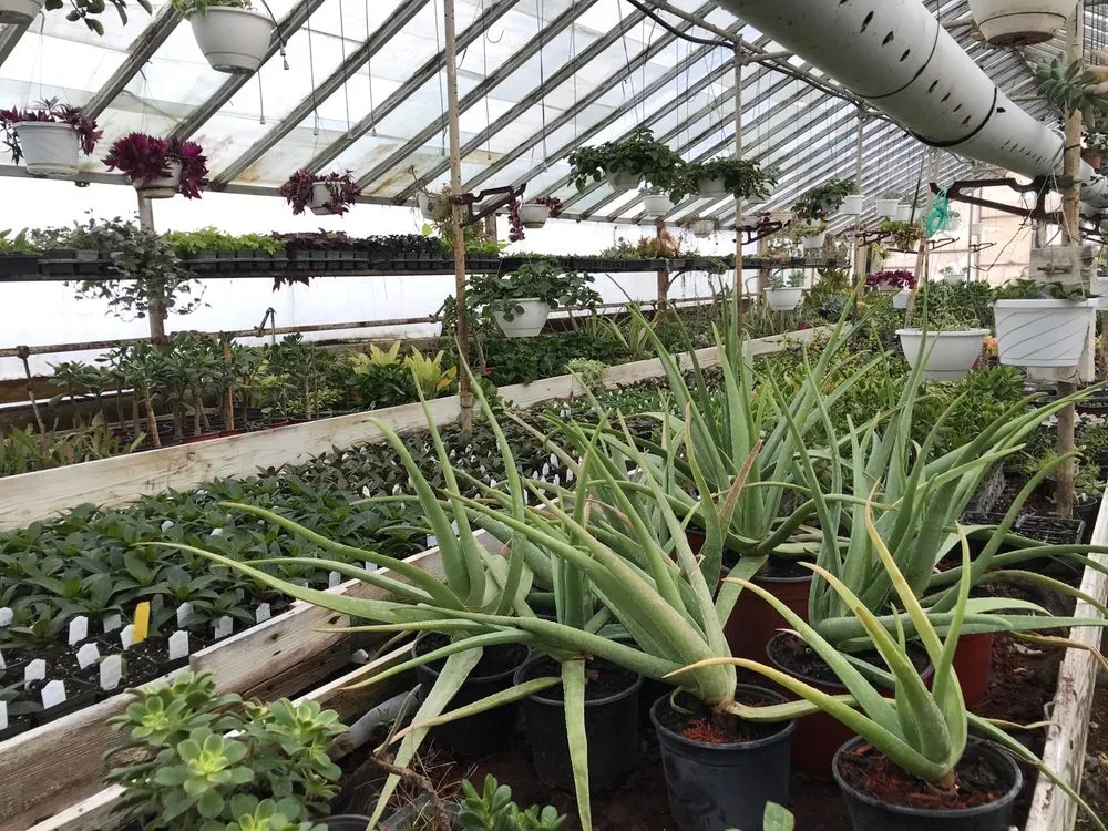 Expert lawn care service in Patterson, NY by Petersen's Patterson Greenhouses