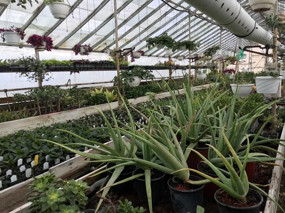 Custom yard maintenance in Patterson, NY by Petersen's Patterson Greenhouses