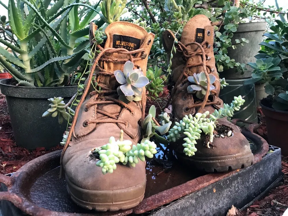 Trusted residential landscaping for residential properties in Patterson, NY by Petersen's Patterson Greenhouses