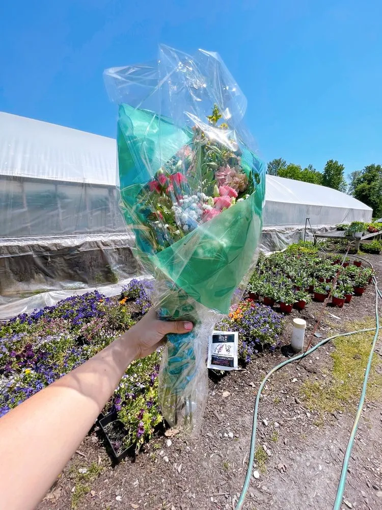 Expert lawn mowing service experts serving Patterson, NY - Petersen's Patterson Greenhouses