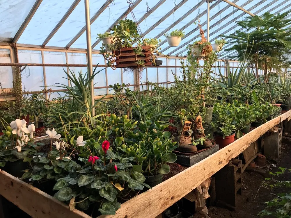 Local landscape design in Patterson, NY by Petersen's Patterson Greenhouses