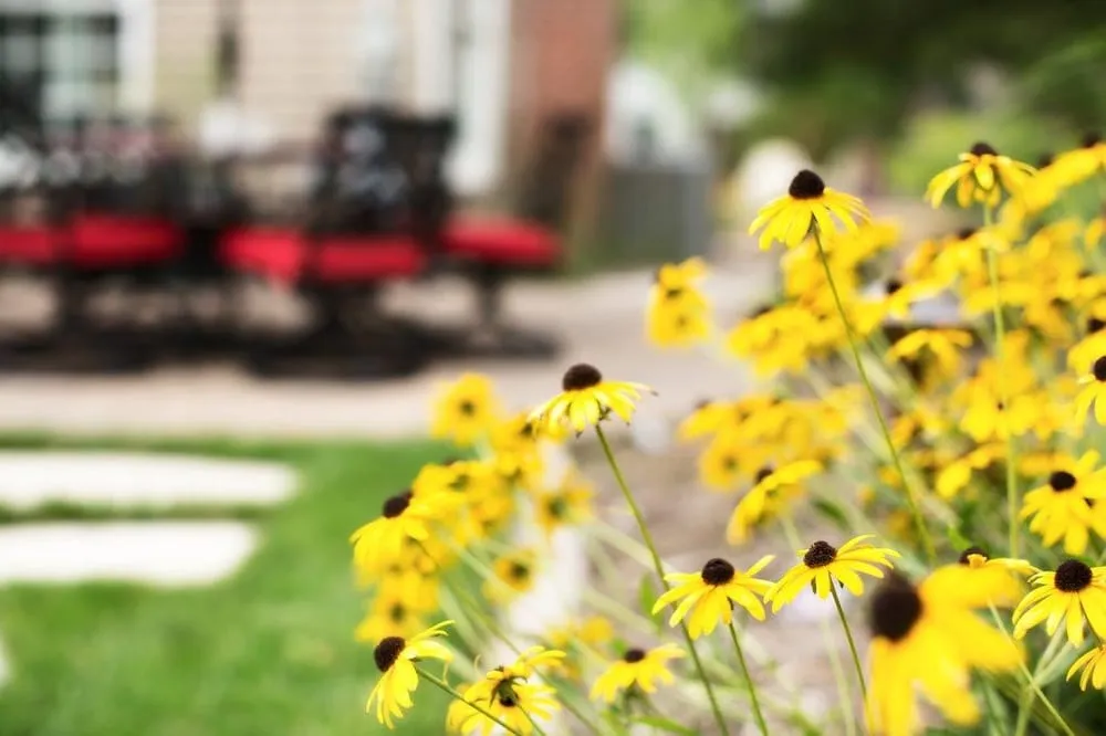 Expert garden landscaping in Chisago City, MN - Peterson Companies