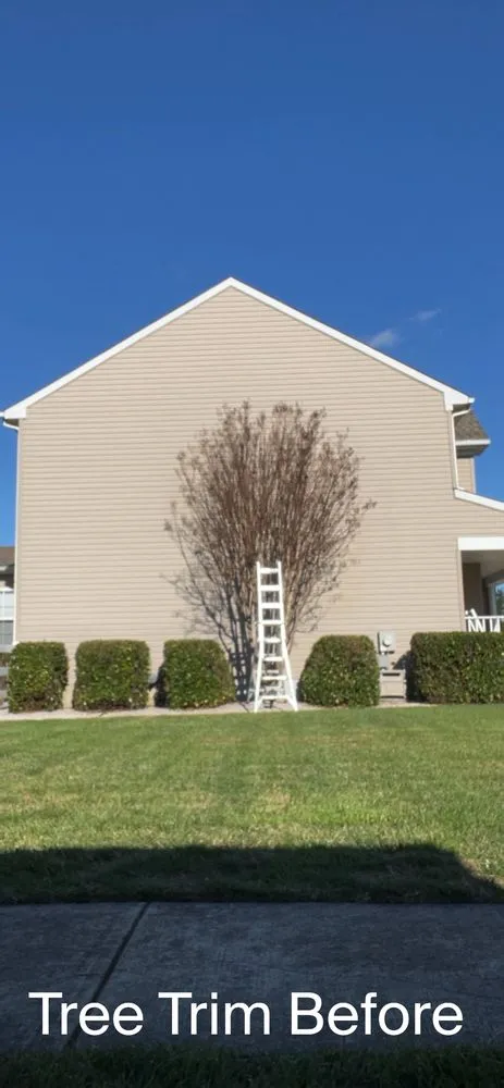 Top-rated landscape installation in Temple, TX - Peterson Landscapes