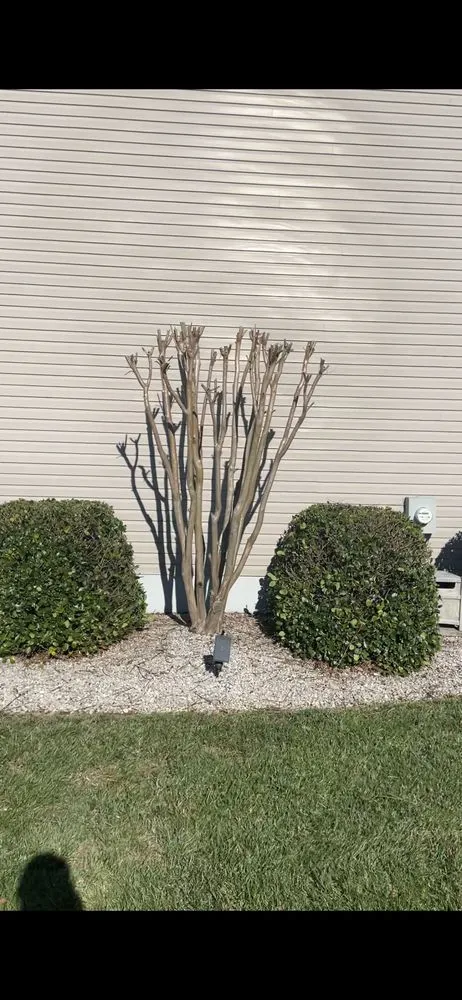 Trusted yard maintenance in Temple, TX - Peterson Landscapes