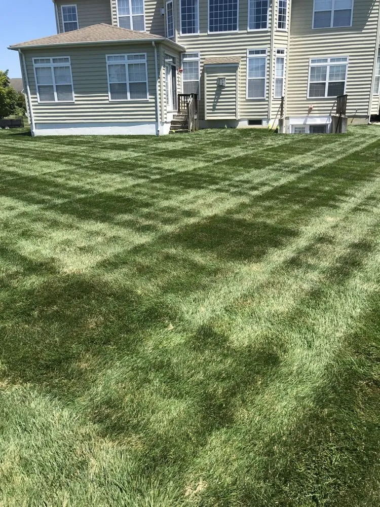 Local outdoor landscaping in Temple, TX by Peterson Landscapes