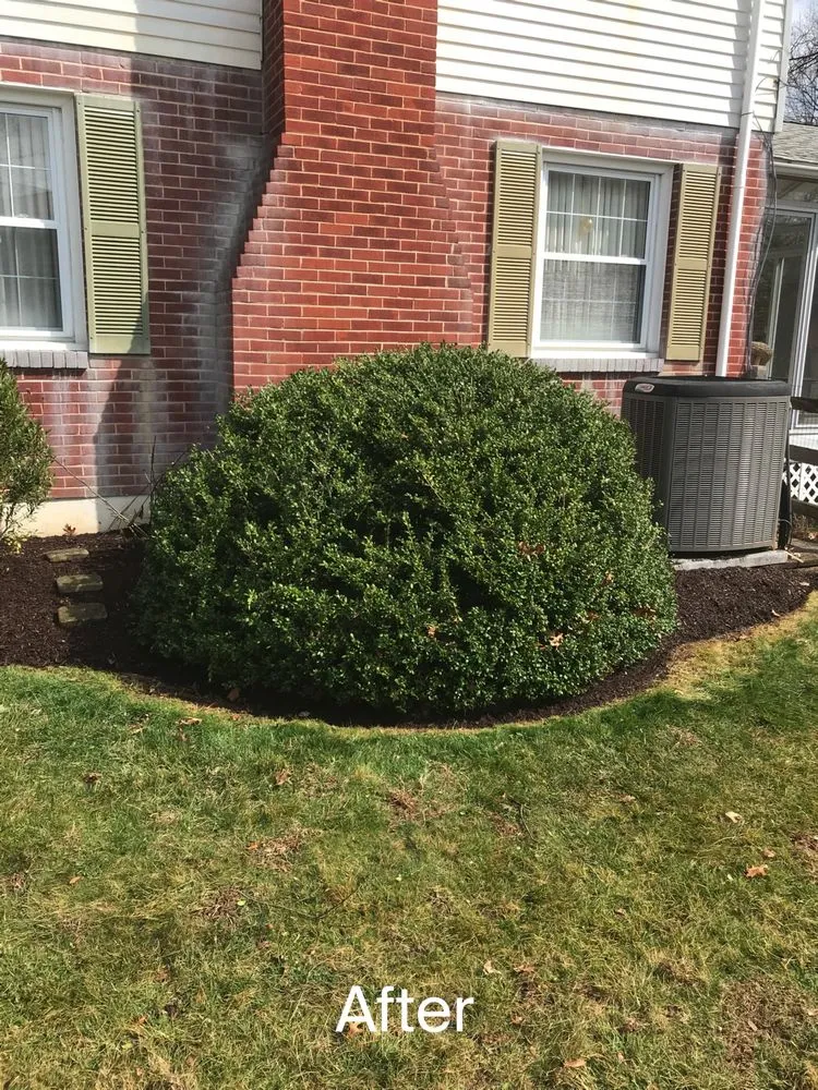 Trusted residential landscaping near you across Temple, TX - Peterson Landscapes