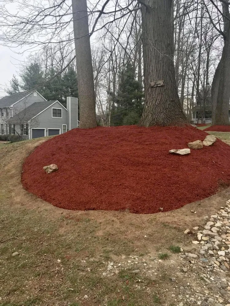 Trusted lawn care service for homes across Temple, TX - Peterson Landscapes