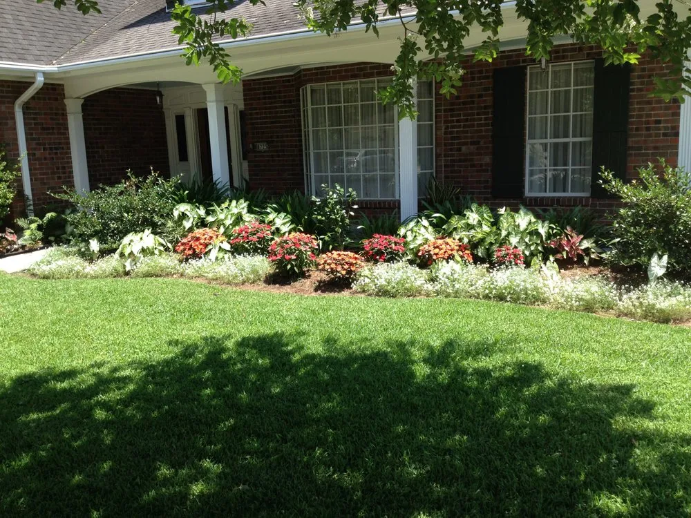 Custom yard cleanup service experts serving Avondale, LA - Peterson Lawn Care & Property Maintenance