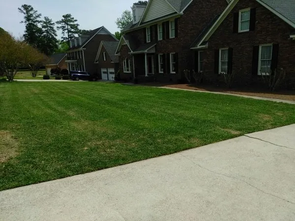 Custom lawn care service in Columbia, SC - Peterson Lawn Group