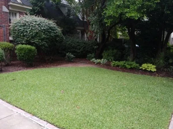 Reliable lawn mowing service for beautiful yards in Columbia, SC by Peterson Lawn Group
