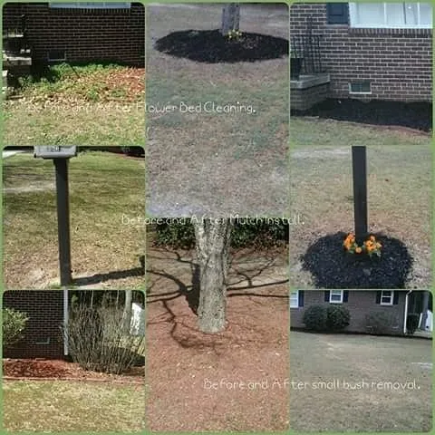 Local landscape installation with custom design across Columbia, SC - Peterson Lawn Group