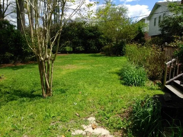 Local landscaping services near you across Columbia, SC - Peterson Lawn Group