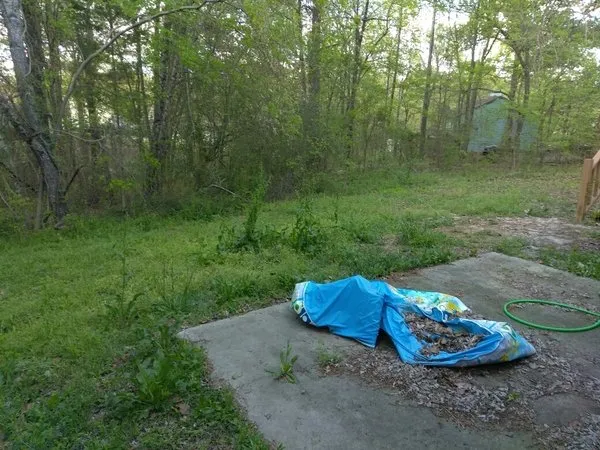 Expert lawn care service for year-round maintenance in Columbia, SC by Peterson Lawn Group