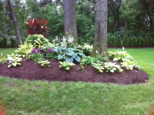 Affordable lawn mowing service with custom design in Hopkins, MN by Peterson Lawn Services