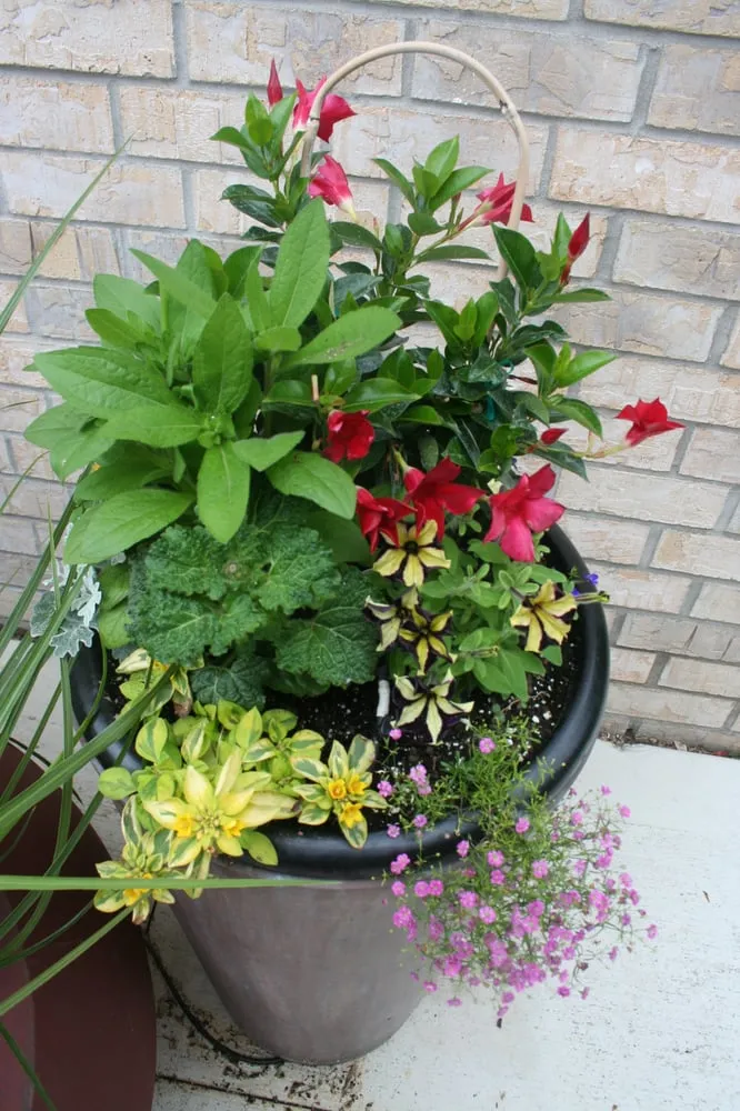 Affordable landscaping services in Hopkins, MN by Peterson Lawn Services