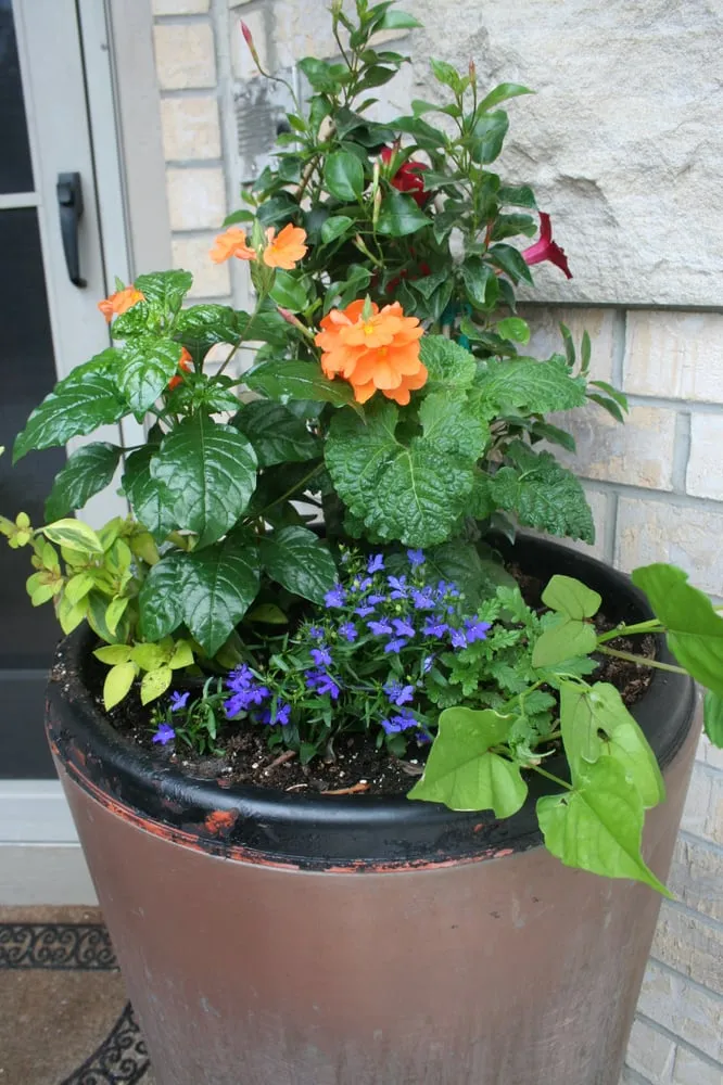 Expert yard cleanup service with custom design in Hopkins, MN by Peterson Lawn Services