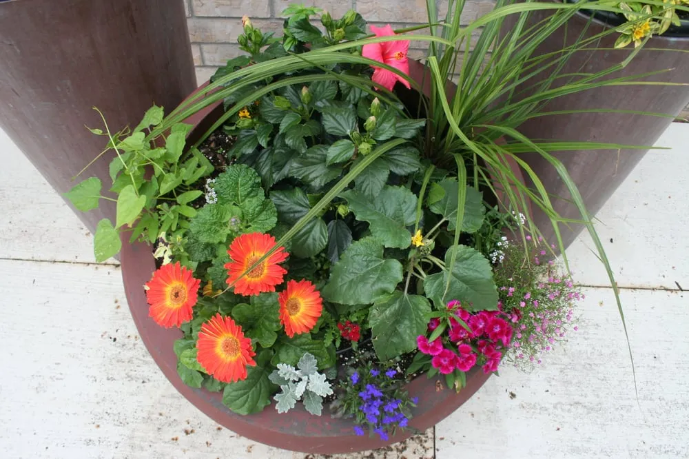 Top-rated outdoor landscaping in Hopkins, MN by Peterson Lawn Services