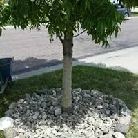 Affordable garden landscaping experts serving West Fargo, ND - Peterson Services. LLC