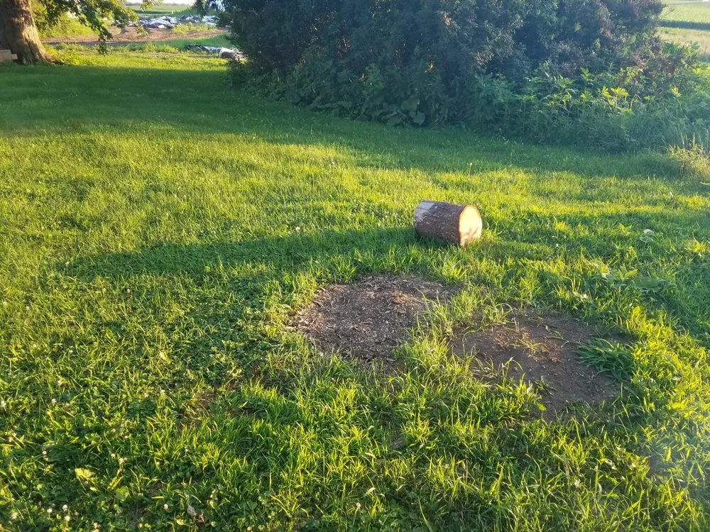 Reliable landscape installation near you across Welch, MN - Peterson Stump Grinding