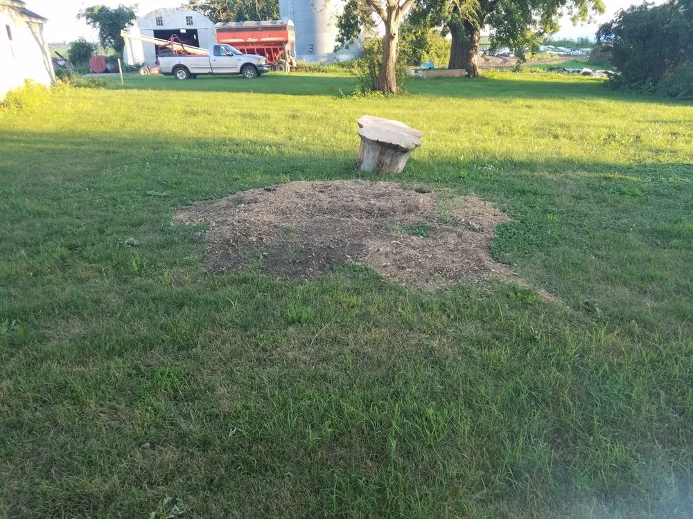 Trusted landscape installation experts serving Welch, MN - Peterson Stump Grinding